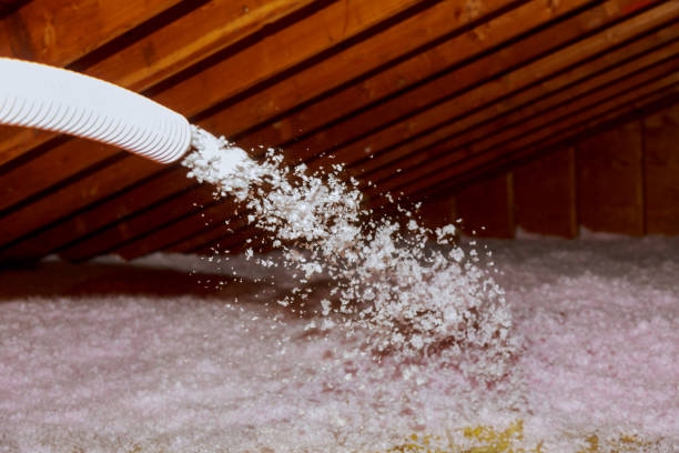 Professional Insulation Contractor in Little Chute, WI