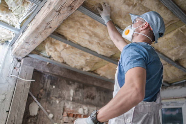 Best Fiberglass Insulation in Little Chute, WI