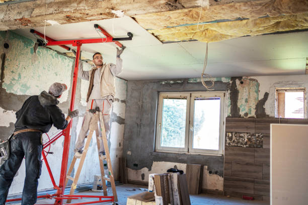 Best Specialized Insulation Services in Little Chute, WI