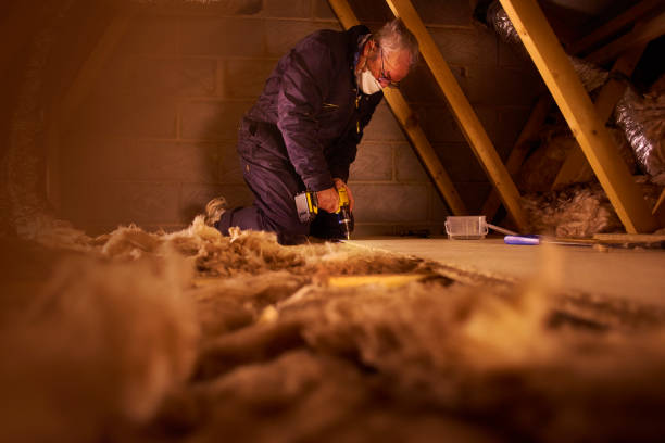 Best Eco-Friendly Insulation in Little Chute, WI